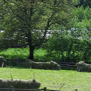 Hay drying racks