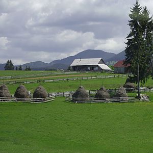 Hay stacks in the Carpathian Mountains