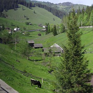 Upland pastures in the Carpathian Mountains
