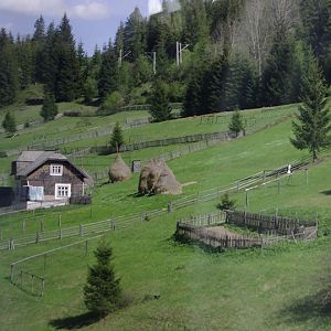 Upland pastures and hay stacks
