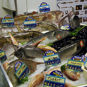 Concarneau Les Halles, fish stall