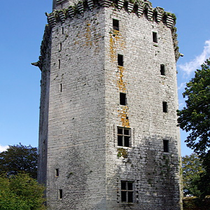 The Fortress of Largoët, donjon