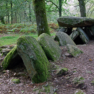 Dolmen de la Loge au Loup near Trédion