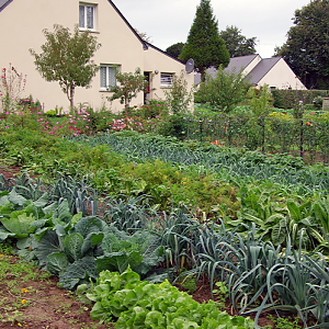 La Vraie Croix, vegetable garden