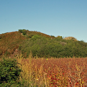 Tumiac Tumulus
