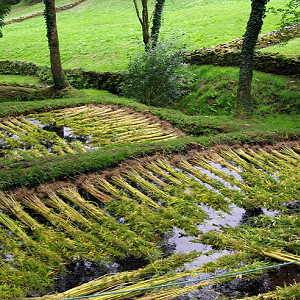 Poul Fetan flax retting pools