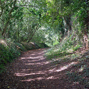 Sunken lane to Pont du Diable