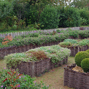 Château de la Roche-Jagu, herb garden