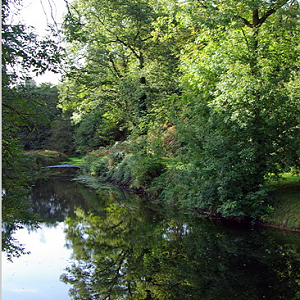 Moulins de Kerouat mill pond