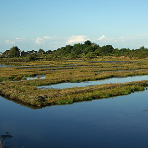 Presqu’île de Rhuys, old salt pans