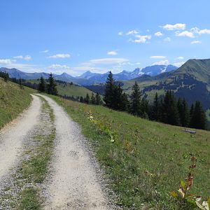Swiss Alps - Saanen