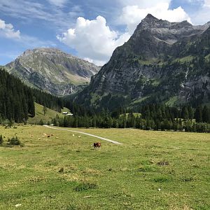 Swiss Alps - Lenk