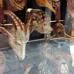 Animal masks