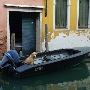 Dogondolier?