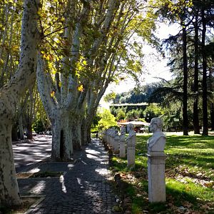 Road to Janiculum