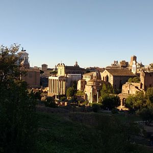 Palantine/Forum