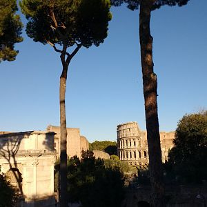 Forum/Palantine Hill