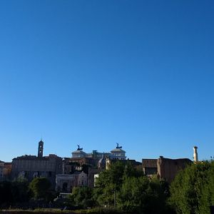 Forum/Palantine Hill