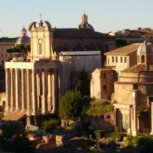 Forum/Palantine Hill