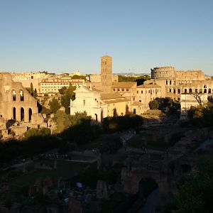 Forum/Palantine Hill