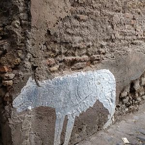 Street art wolf