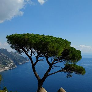 Villa Rufalo in Ravello
