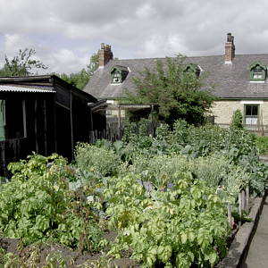 Pit cottages, Beamish