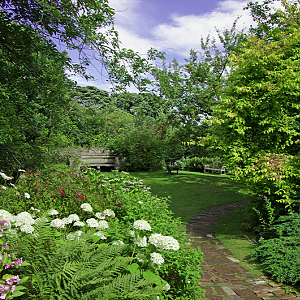 Croft Hall Gardens