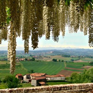 View from our "Casa La Vista", Villadeati (AL) Monferrato