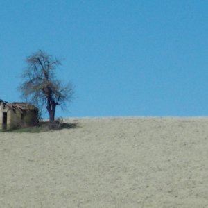Fixerupper