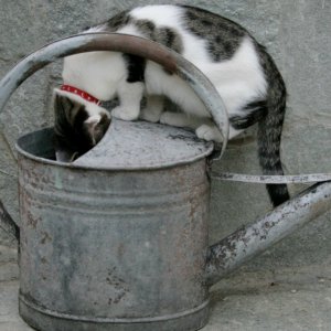 Anybody home?