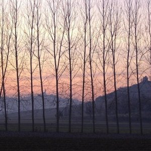 Dusk at Corsione, Monferrato