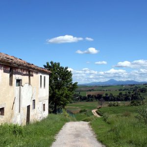 Landscape near Barchi