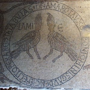 Pesaro - Mosaics