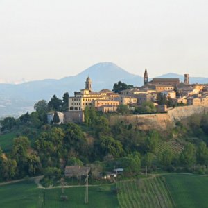 Mondavio