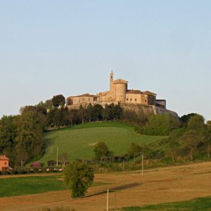 Sorbolongo