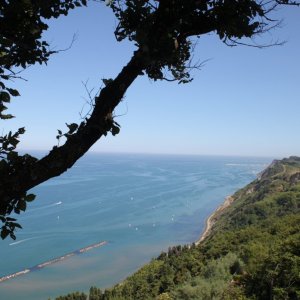 Monte San Bartolo