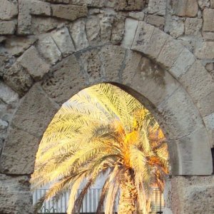 ortigia arco at apollo.jpg