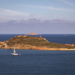 IMG_9078.jpg