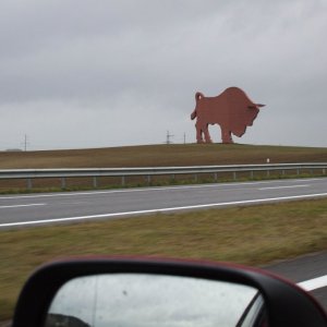 IMG_9388.jpg