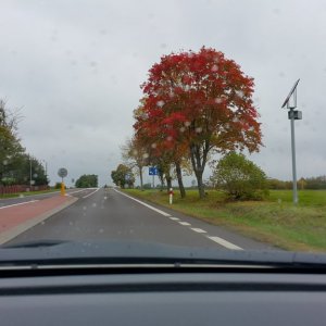 2017-10-05 15-29-33.JPG