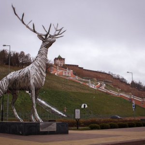 IMG_9443.jpg