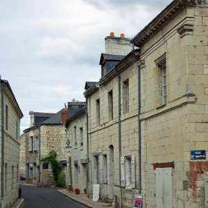 Candes-St-Martin