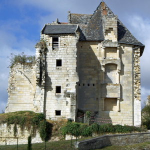 Crissay-sur-Manse, Château.png