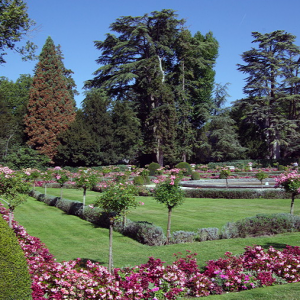 Château de Chenonceau - Catherine de Medici's garden.png