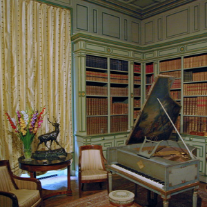 Château de Cheverny - library.png