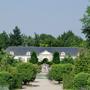 Château de Cheverny - gardens and orangery.png
