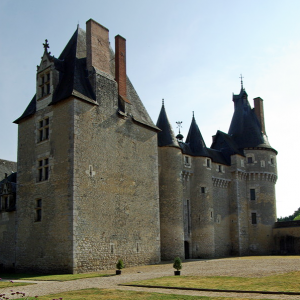 Château de Fougères-sur-Bièvre.png