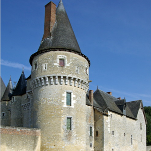 Château de Fougères-sur-Bièvre.png