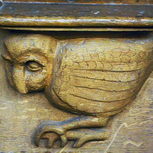Église Abbatiale St-Martin - misericord.png